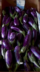 Aubergines on sale in roadside farm stall, southern Cyprus. credit: Marie-Louise Aubergines on sale in roadside farm stall, southern Cyprus. credit: Marie-Louise