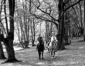 Riding Prints: Autumn in Kent two riders pause to admire the huge carpet of leaves lying on