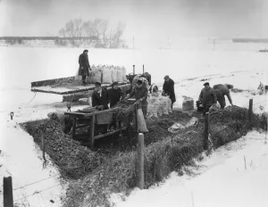 Farmer Prints: Bagging potatoes in cold winter snow. 1947