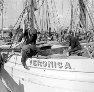 Barge race preparations on the River Thames off Greenhithe, Kent. 24 May 1958