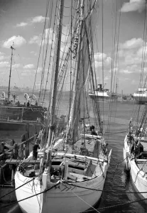Dock Prints: Barge race preparations on the River Thames off Greenhithe, Kent. 24 May 1958