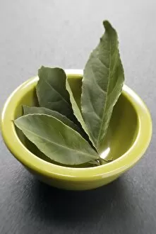 Herb Collection: Bay leaves with small bowl on a dark plastic surface. Bay leaf (Greek Daphni, Romanian