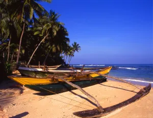 Beach at Beruwala, Sri Lanka