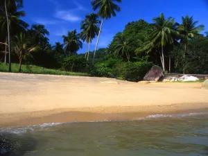 Paradise Prints: Beach on the island of Penang, Malaysia