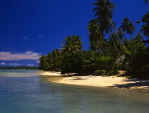 Beach on Morea, an island off Tahiti