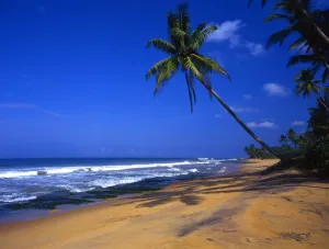 Beach near Welligama, on the island of Sri Lanka