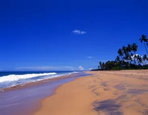 Beach to the north of Galle and south of Welligama, Sri Lanka
