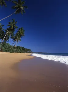 Beach to the north of Galle, and south of Welligama, Sri Lanka