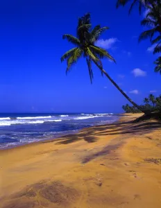 Beach north of Galle, Sri Lanka