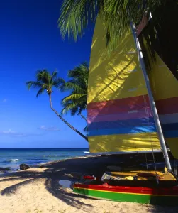 Paradise Prints: Beach scene, with sails and palms, Antigua, West Indies