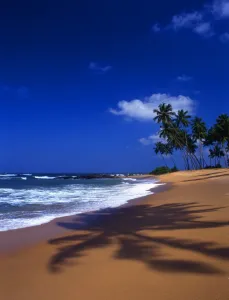 Beach to the south of Welligama [north of Galle), in Sri Lanka