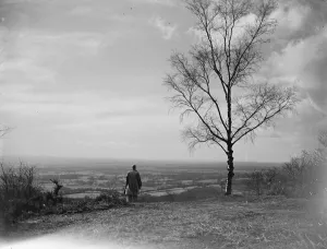 Single Prints: Beacon Top. Ide Hill 1935