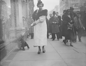 Eccentric Prints: Bear goes shopping in Oxford Street. 16 November 1934