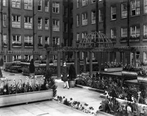 Adult Prints: The beautiful roof garden of the May Fair Hotel, London. 11 April 1928