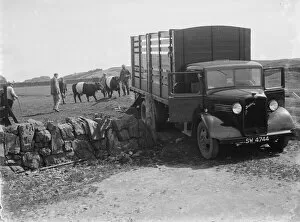 Lorry Collection: Bedford cattle truck. 1935