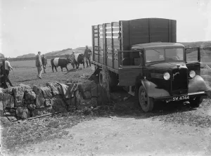Bedford cattle truck. 1935