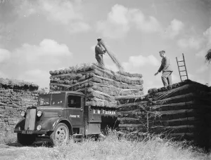 Bedford van, R W Farman. 19 August 1937 Reed Thatching in Norfolk. Mr R