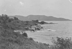 Belgian Congo Rwanda, The banks of Lake Kivu August 1921