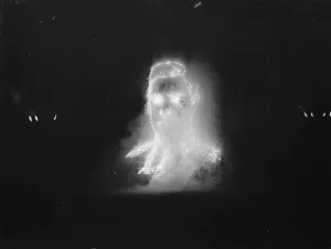 Face Prints: Bexley Charter celebrations ( incorporation as a borough ); Charter fireworks