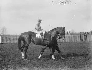 Another big race for Pat Donoghue. Pat Donoghue on Rock Fire after winning