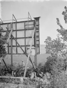 Birds nests in the back of an advertising hoarding, Ruxley, Kent