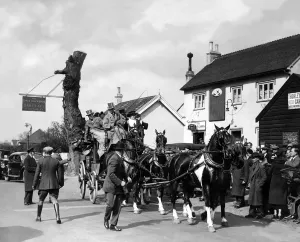 The Three Black Birds Inn Bexley Horse and carriage Stage Coach