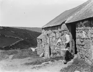 Livestock Prints: The blind farmer, Ghypraze Pendeen. 1936