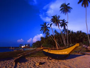 Paradise Prints: Boats on beach at Beruwala, Sri Lanka