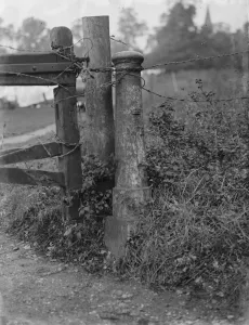 Fence Prints: A boundary post. 1936