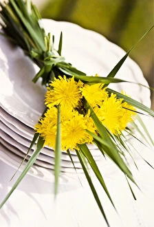 Plates Collection: Bouquet of dandelions and long blades of grass on stack of white plates as table