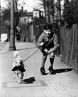 Funny Collection: Boy rollerskating on the pavement with his pet dog on a lead, who is carrying