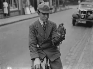 Youth Prints: Boy with tame bird, Sidcup. 1937