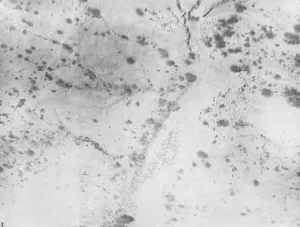 The British Military operations in Somaliland. An aerial view of Dervish camels in Nullah