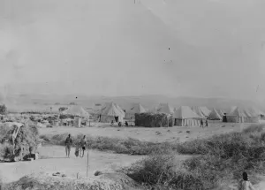 The British Military operations in Somaliland. Interesting new photographs. Camp