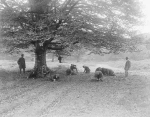 At Brockenhurst in the New Forest, Hampshire, the Forestry Commissions School