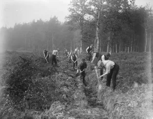At Brockenhurst in the New Forest, Hampshire, the Forestry Commissions School