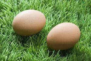 Green Collection: Two brown eggs on fake green plastic grass credit: Marie-Louise Avery / thePictureKitchen