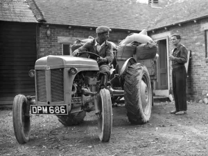 Bryckden Place Farm, Waldron Sussex
