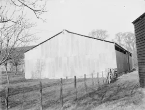 Straw Prints: Bullocks shed on a farm. 1936