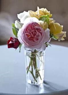 Floral Collection: Bunch of garden roses tied with raffia in clear glass on painted table indoors credit