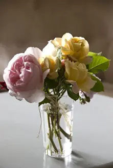 Bunch of garden roses tied with raffia in clear glass on painted table indoors credit