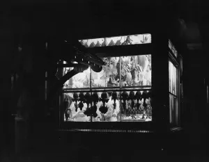 Butchers Shop At Night. Christmas poultry hang in the window of a butchers in Ardingly