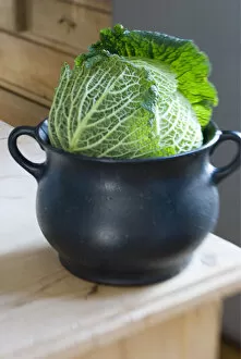 Leaves Collection: Cabbage sitting in iron cooking pot in kitchen credit: Marie-Louise Avery / thePictureKitchen