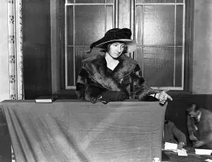 Fur Coat Prints: Cambridge undergraduates Mock Trial at Alexandria Hall - Rex versus Harold