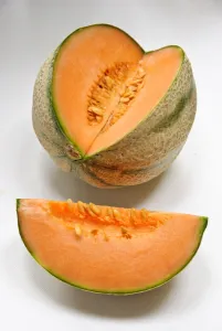 Fresh Prints: Cantaloupe melon wit section cut out on white background credit: Marie-Louise Avery
