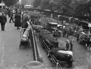 Canterbury market. 1936