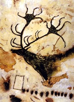 Paranormal Collection: CAVE PAINTINGS Detail of cave paintings of a stag, from the Axial Gallery of Lascaux