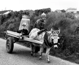 Ireland Prints: No Change Here... except for the wheels. Donkey and trap, with wheels converted