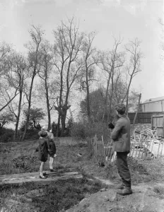 Rescue Prints: Charles points to the tree from where he rescued the black cat that he is holding