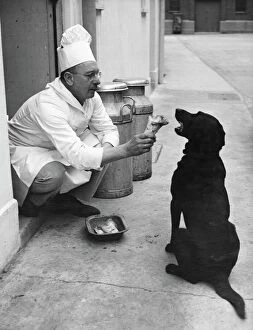 Cheers! vintage food and drink Collection: Chef Andrew Schillar gives a dog a bone from the side entrance of his kitchen. undated